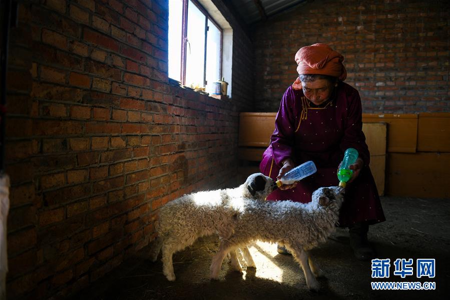 A national park closed a section of a lake temporarily to stock it with fish