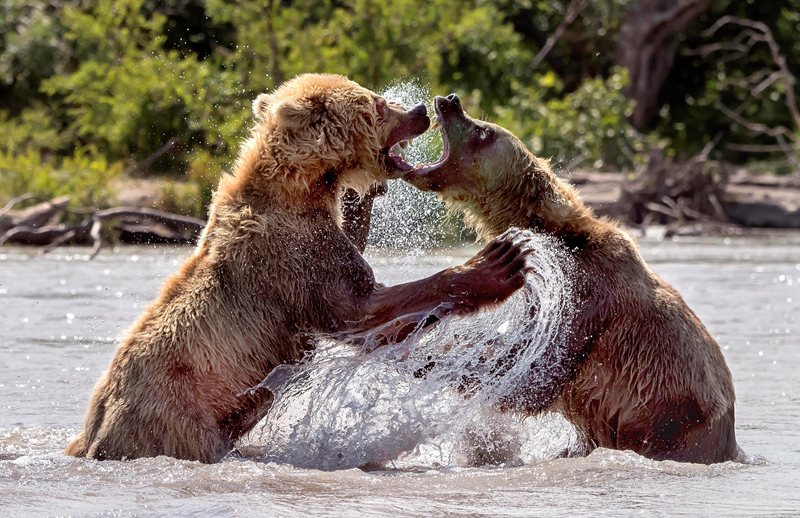 A local theater announced plans to produce a new play written by a local high school student