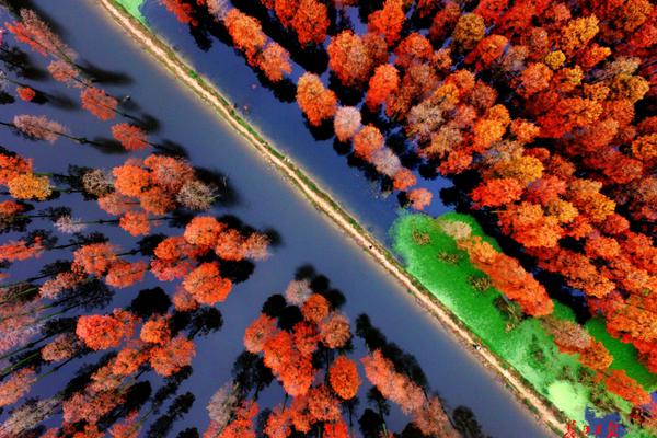 A construction company began work on a new hospital wing dedicated to mental health services