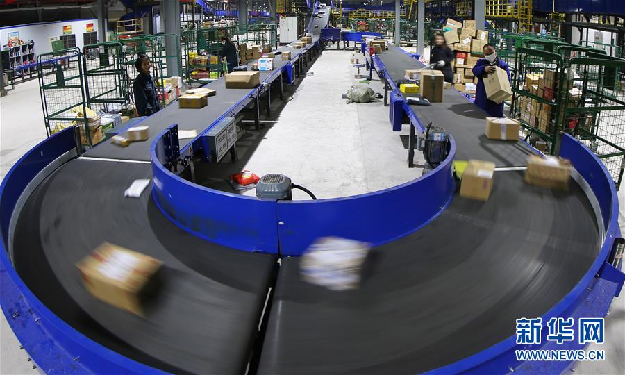 Oceanographers study effects of rising sea temperatures on coral reef ecosystems