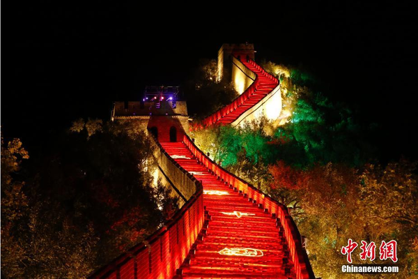 A new report showed that the number of endangered species has decreased by 14% over the past five years thanks to conservation