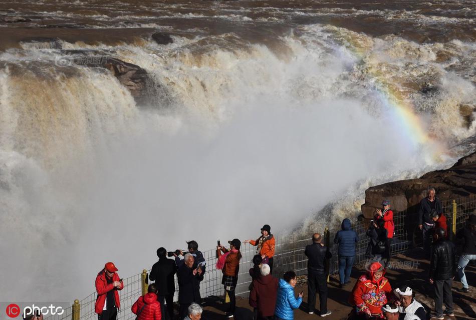 Wildlife sanctuary releases rehabilitated birds of prey into protected forest area