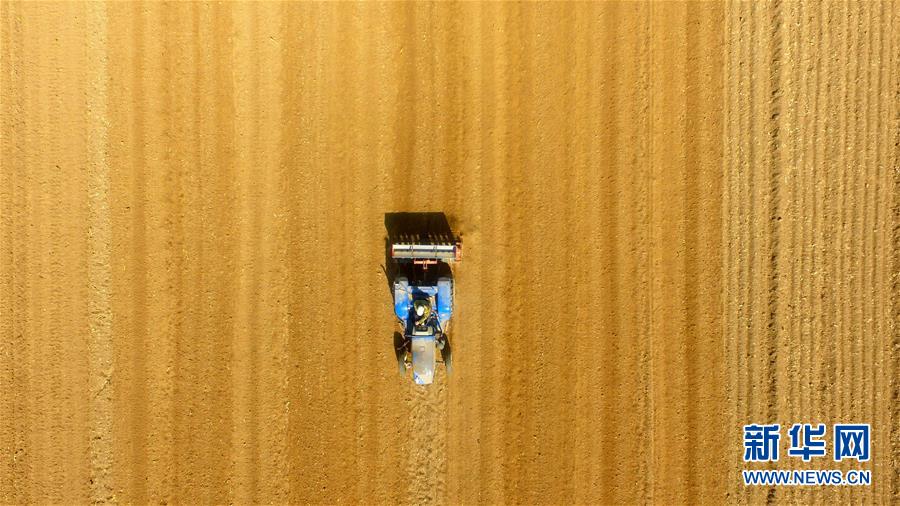 The city’s public transport system launched an app that lets users plan routes in advance