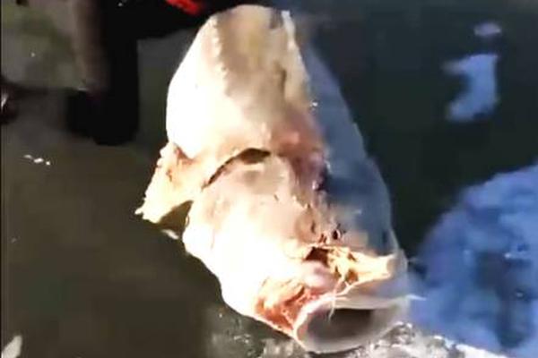 A museum hosted a night event with live music, art displays, and food trucks