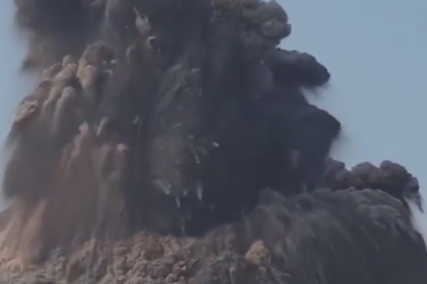 Researchers found that keeping a garden reduces symptoms of anxiety in adults