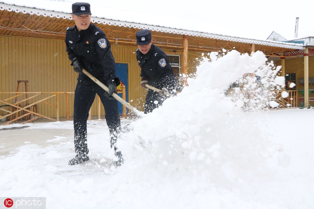 Scientists discovered a new plant species with potential medicinal properties