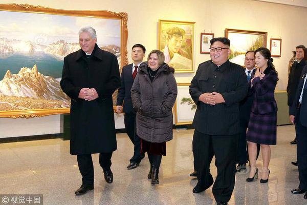 A famous artist held their first exhibition in the country for ten years