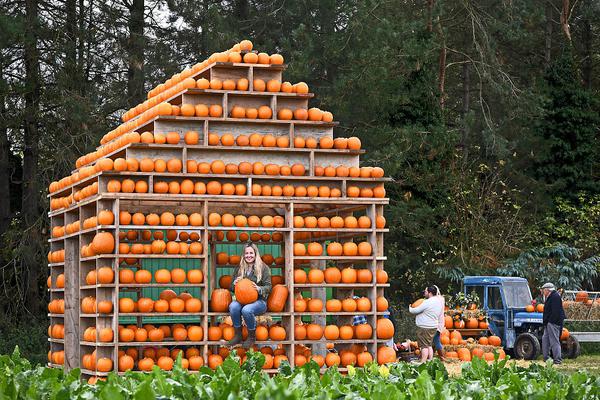Elementary school takes students on field trip to local farm
