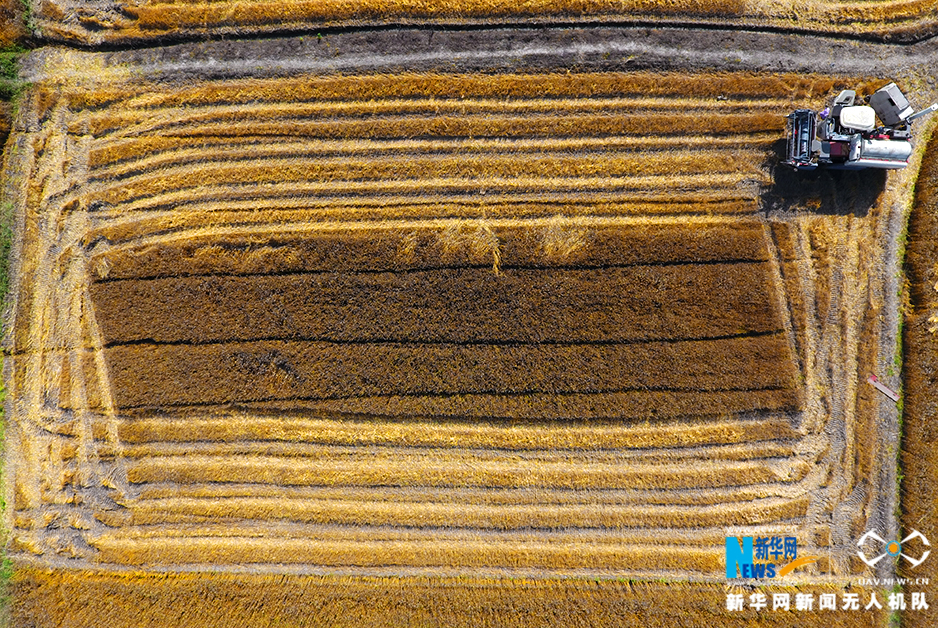 A heavy rainstorm caused flooding in basements of 100 homes in a suburban neighborhood