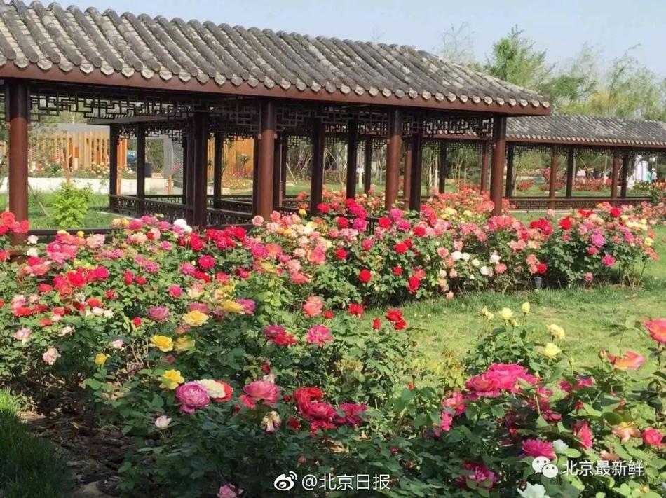 A new movie was praised by critics for its realistic portrayal of life in a small town