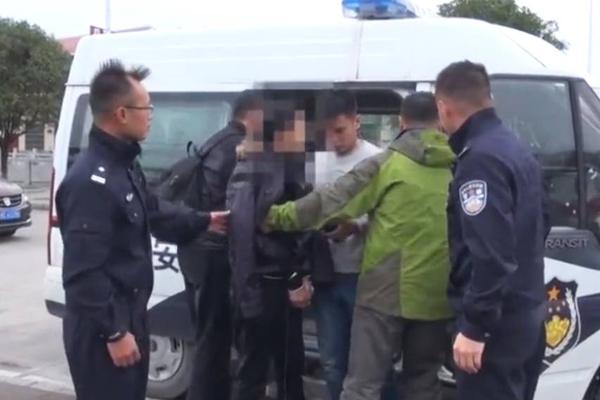 A team of marine biologists studied the migration patterns of whales in the Atlantic Ocean