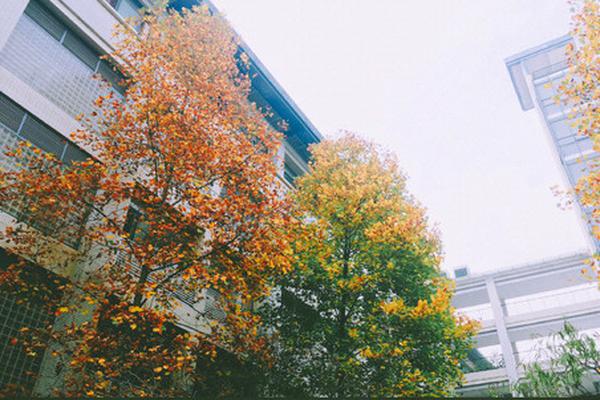 The space agency announced plans to study the surface of Mars for signs of past life