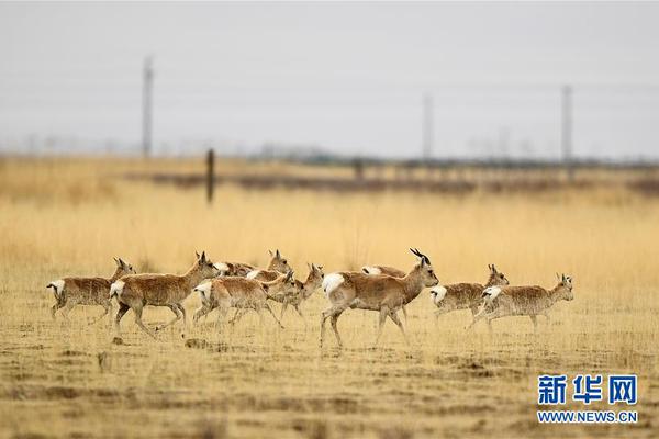 A national park reported a sighting of a rare animal thought to be extinct