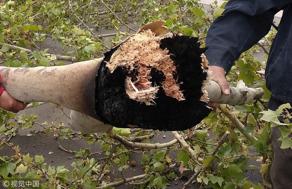 A strong thunderstorm knocked down trees and caused power outages in three counties