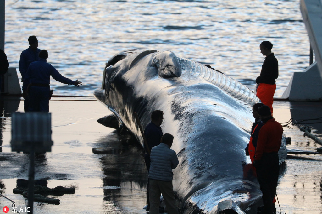 A wildlife sanctuary released a report on the success of its animal conservation programs