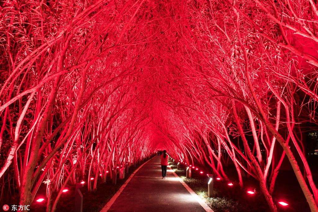 A school started a debate club that won a regional competition and qualified for the national tournament