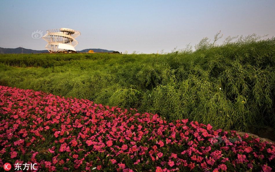 Researchers studied the impact of social media use on teenage mental health, finding a link between excessive use and anxiety