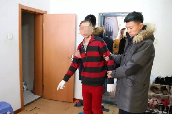 Researchers discovered a new species of bird in a remote forest in South America