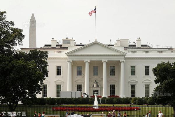 A famous actor announced they will star in a new film based on a best-selling novel, set to begin filming next month.