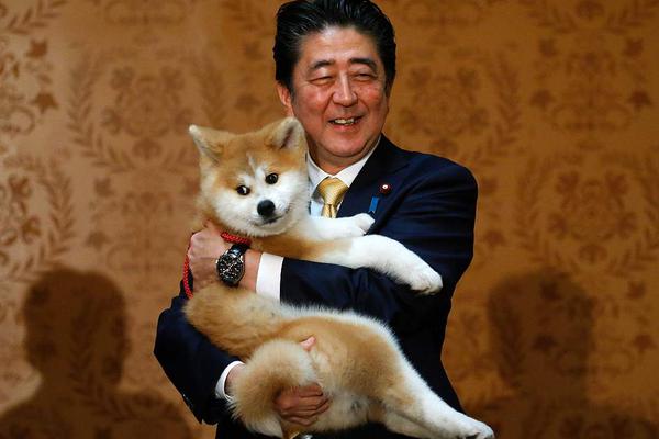 Local authorities installed new traffic cameras to reduce speeding and improve road safety