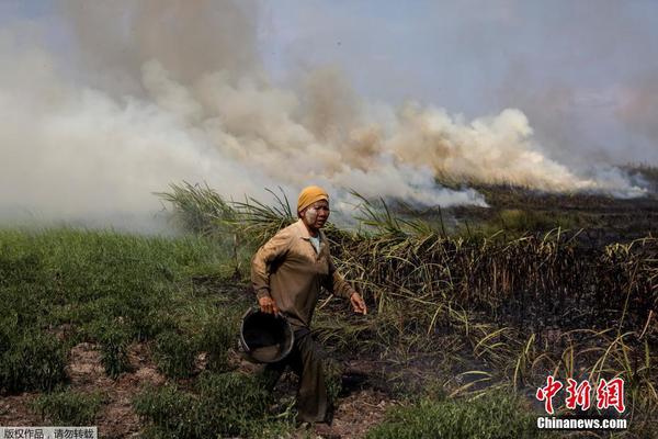 A large retail company said it will phase out single-use plastics in all its stores by the end of 2025