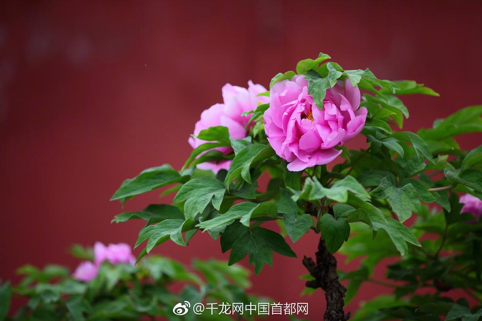 Study finds that remote work reduces commuting time by average of 90 minutes daily