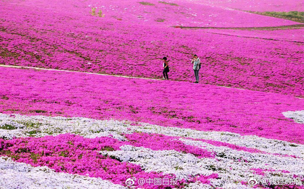 Marine biologists work to restore coral reefs damaged by pollution