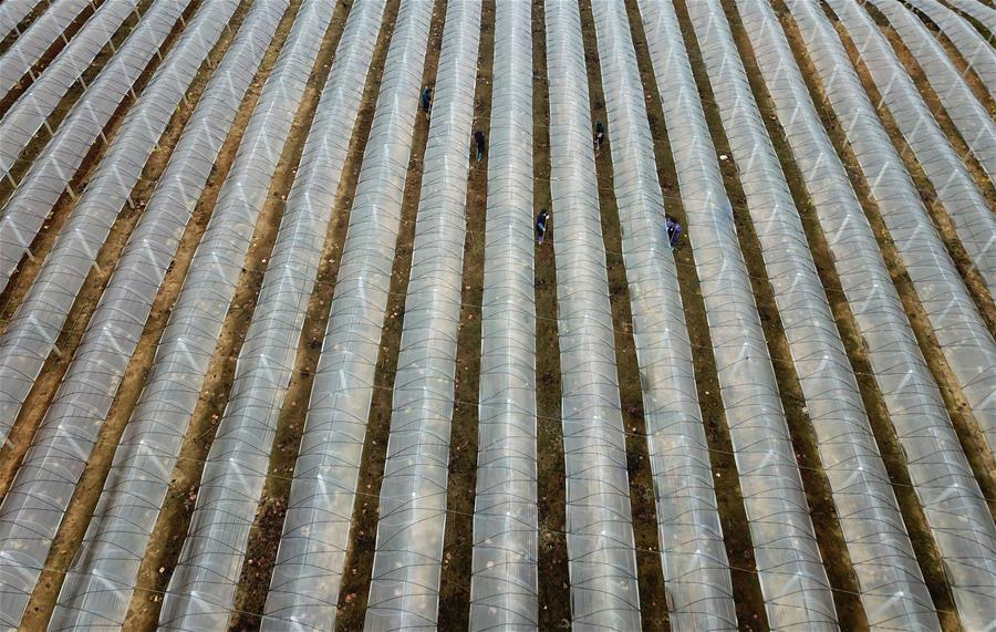 Study reveals that family dinners improve communication