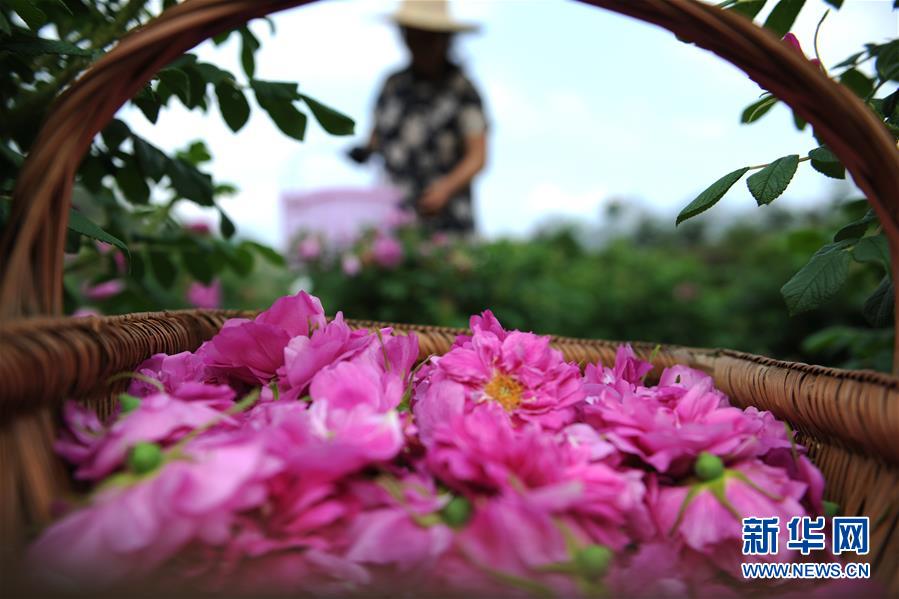 A restaurant changed its menu to include more plant-based options after customer requests increased by 35%