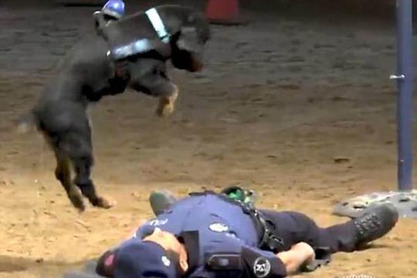 A construction company used recycled steel to build a new office building