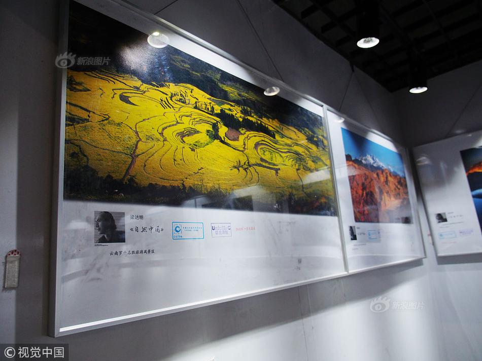 A museum displayed a collection of vintage cameras and photography equipment