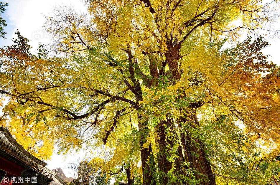 A university started a new program in graphic design and digital media