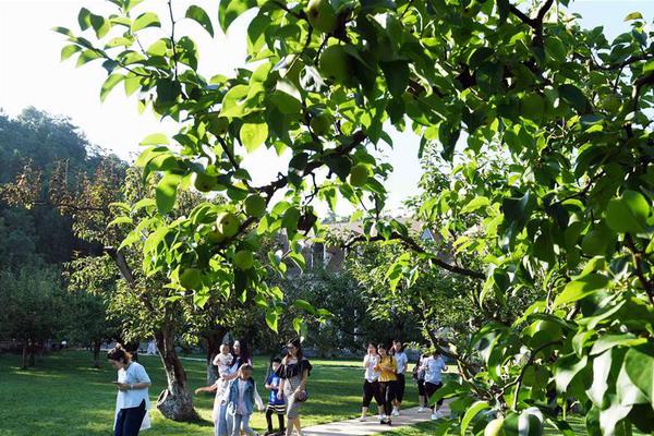 A city installed new street signs to make downtown easier to navigate