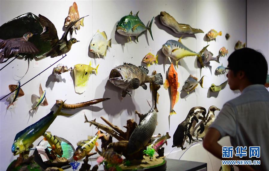 The city introduced a bike-sharing program to encourage green transportation