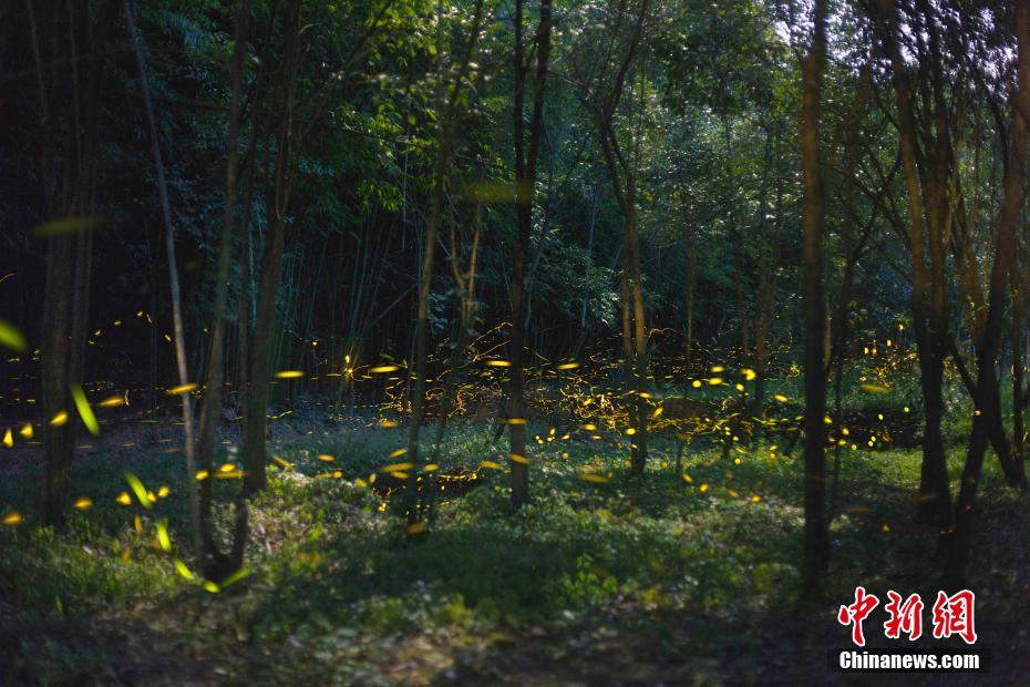 A popular food festival returned after a two-year hiatus drawing over 50000 visitors on its first day