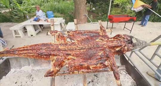 Researchers developed a vaccine for a previously untreatable disease