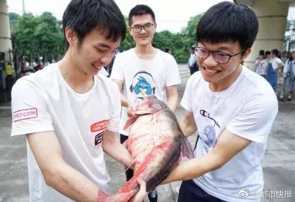 The government launched a $400 million initiative to upgrade rural internet infrastructure