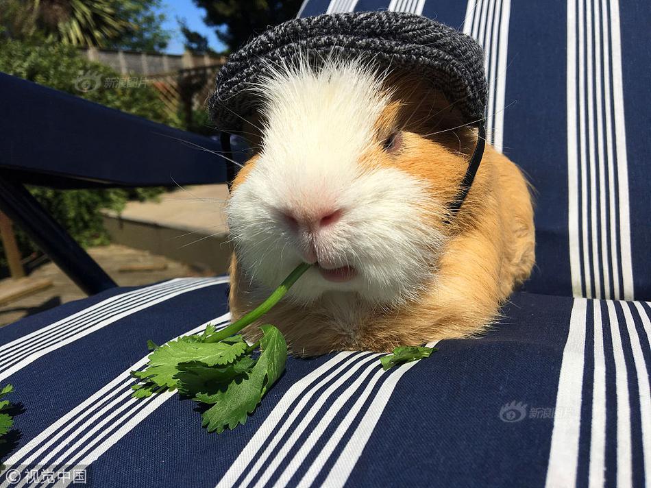 The national economy grew by 3.6% in the last quarter exceeding economists’ expectations