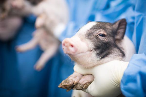 The country’s inflation rate dropped to 1.9% in August the lowest in two years