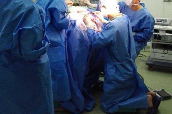 TV network announces new reality show about farm life