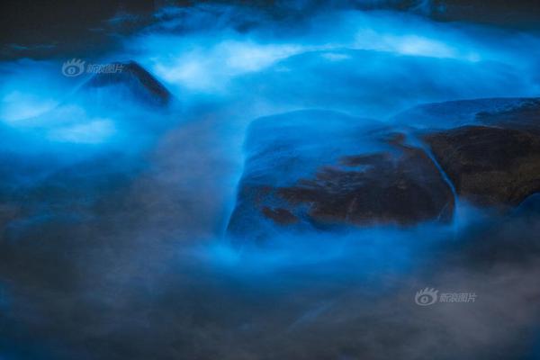 A local fire department held a fire safety workshop for residents teaching them how to prevent and respond to fires