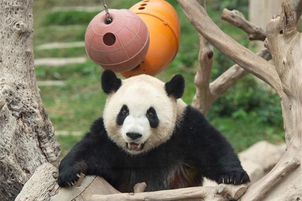 A team of doctors published research on a new treatment for multiple sclerosis