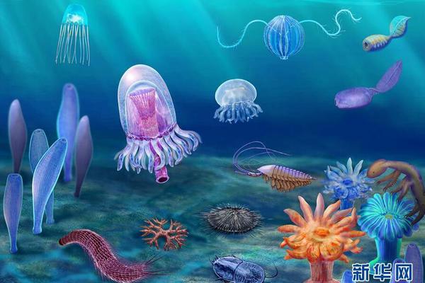 A tech startup partnered with a major retailer to sell its products in 50+ stores