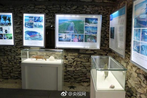 A fashion brand launched a new line of activewear for women