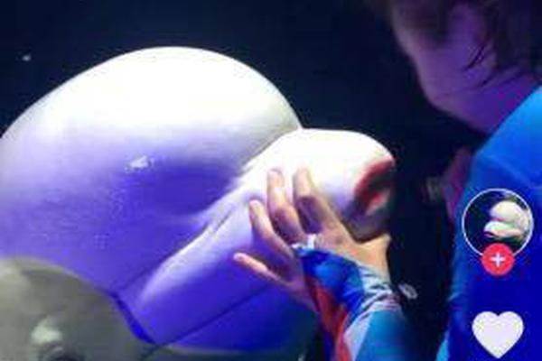 A city installed more public Wi Fi hotspots in parks and community centers