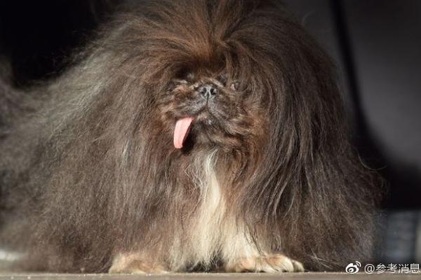 A major tech company released a new tablet with a foldable screen and enhanced processing power