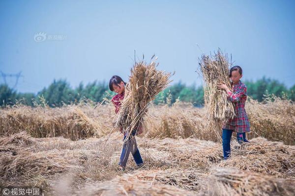 A new park was opened to provide more green space for residents