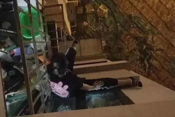 A large bookstore chain opened a new branch in the shopping district