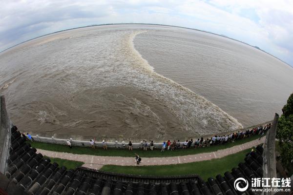 A space agency sent a probe to explore a comet in the outer solar system