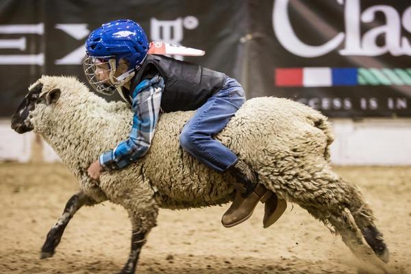 A new report showed that the number of people working from home has increased by 42% since the start of the decade